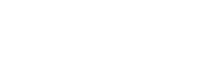Intrio logo, white